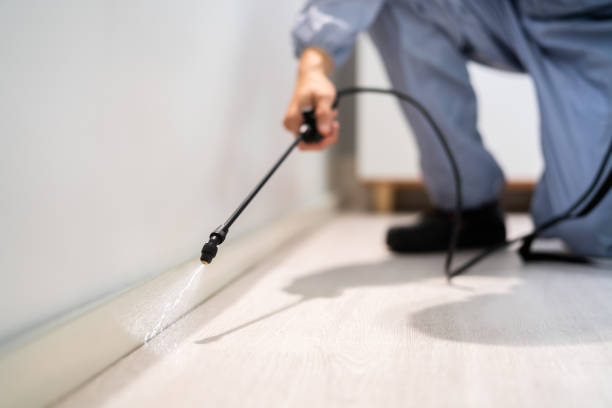 Licensed Pest Control service in Newport News, VA - Show Me Pest Control