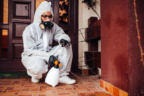 Reliable Wasp Removal contractor in Newport News, VA by Show Me Pest Control